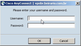 VPN 13